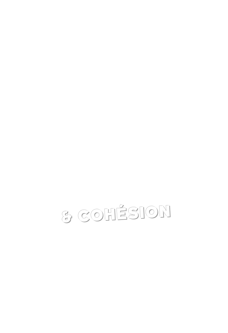Activités Team building et Cohésion d'équipes